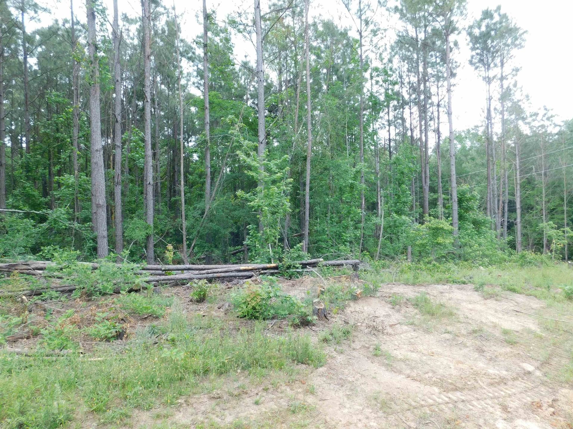 0.71 acres in Texas County gallery image 2