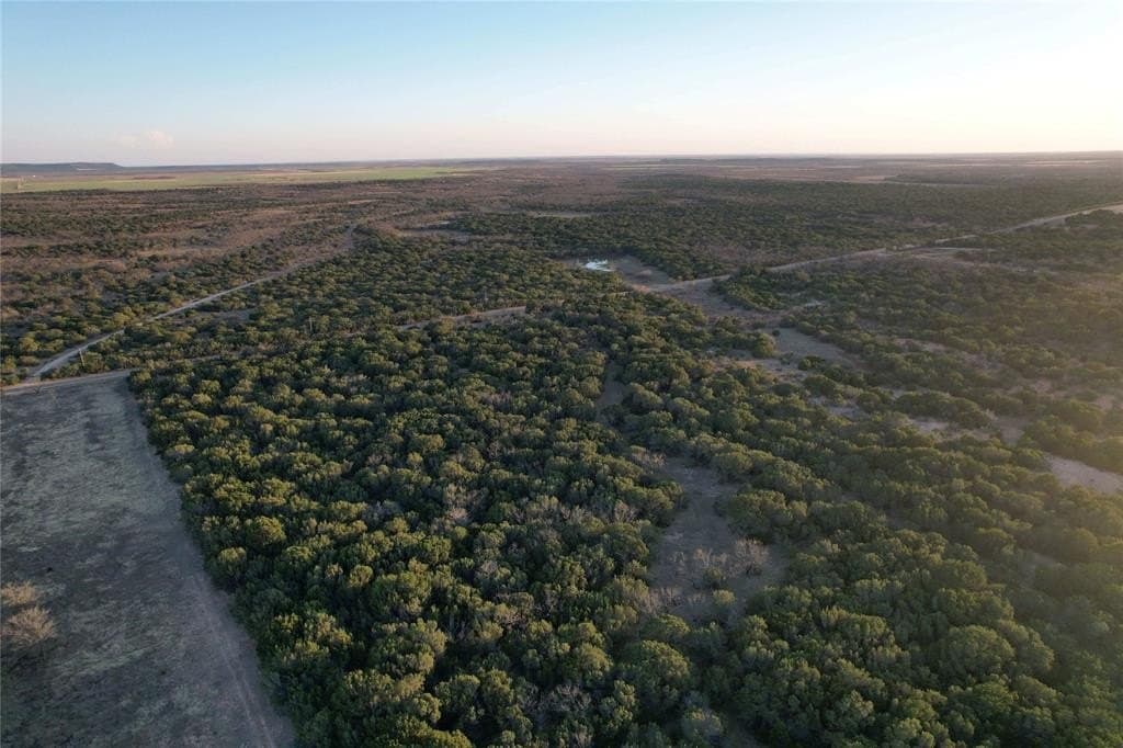 12 acres in Taylor County gallery image 2