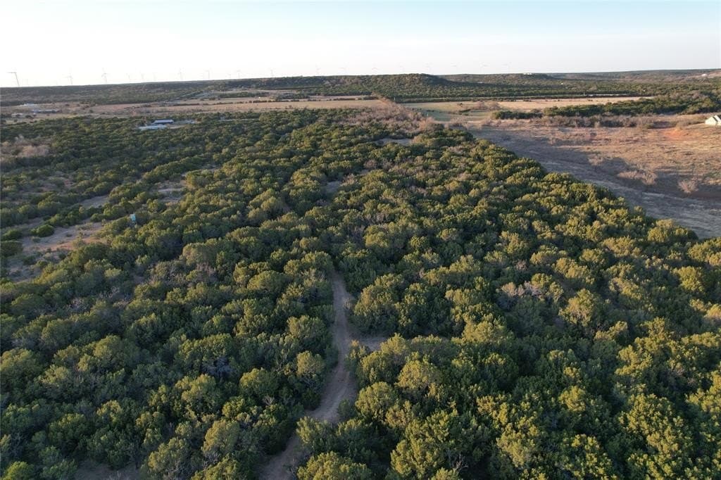 12 acres in Taylor County gallery image 4