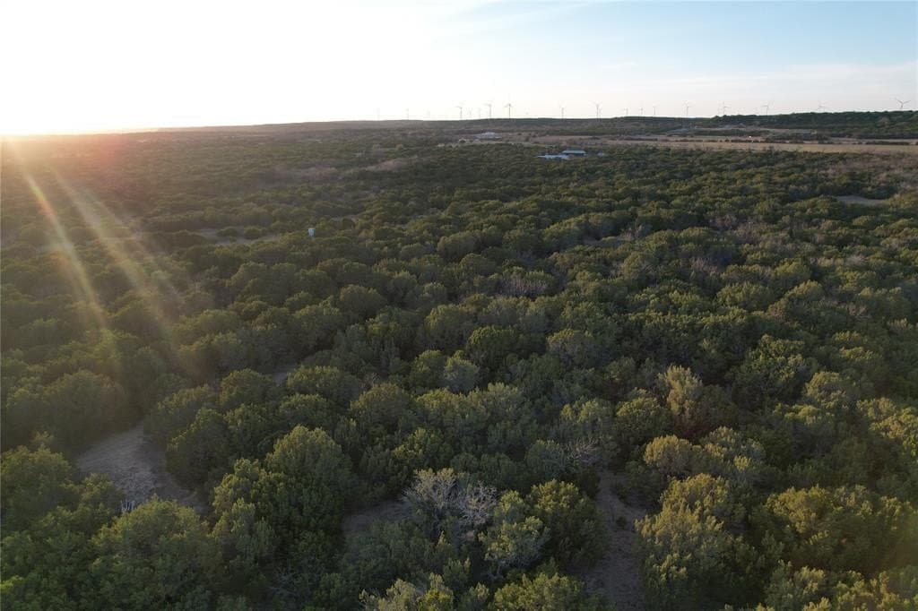 12 acres in Taylor County featured view