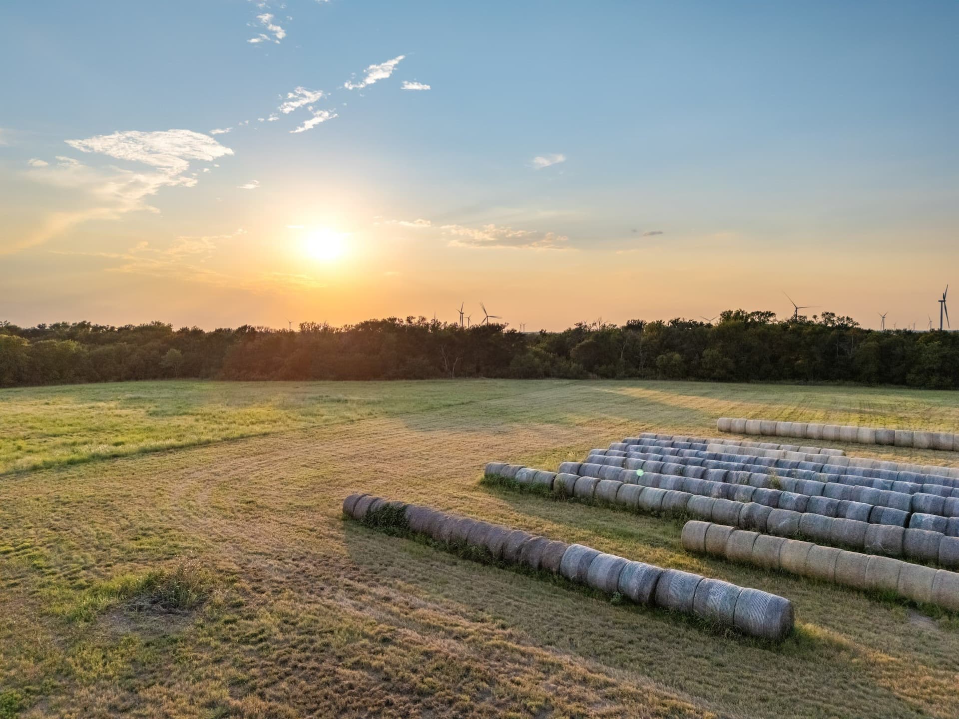79.09 acres in Limestone County - photo 14