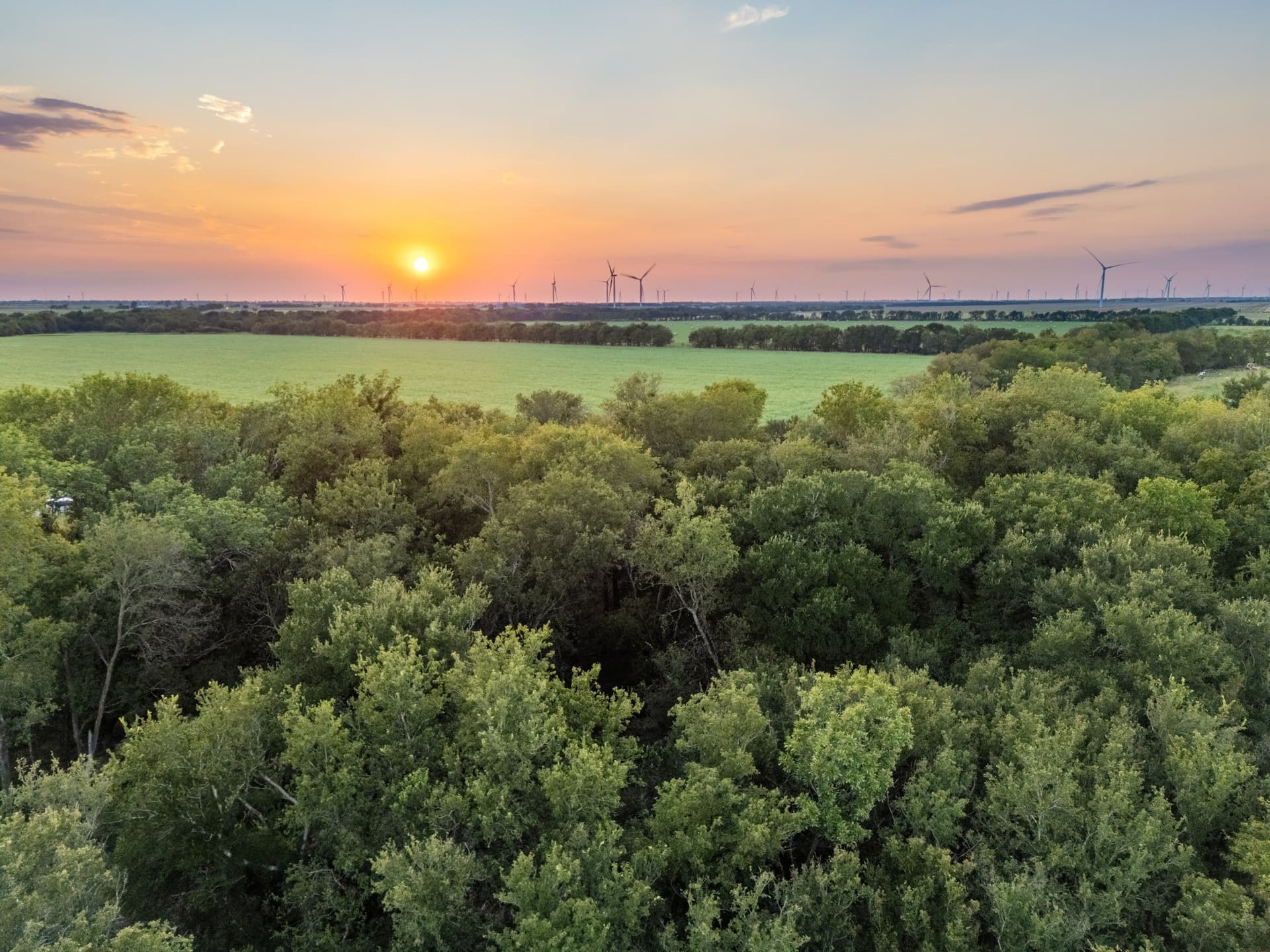 79.09 acres in Limestone County - photo 28