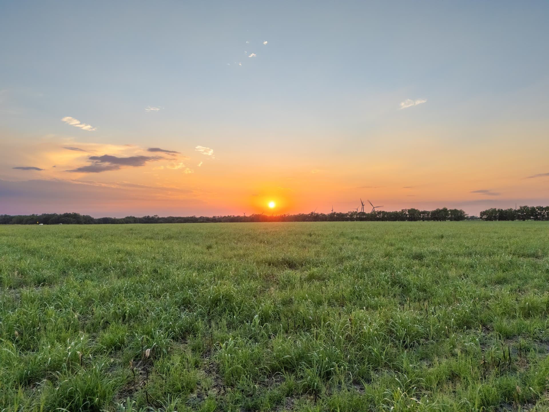 79.09 acres in Limestone County - photo 26