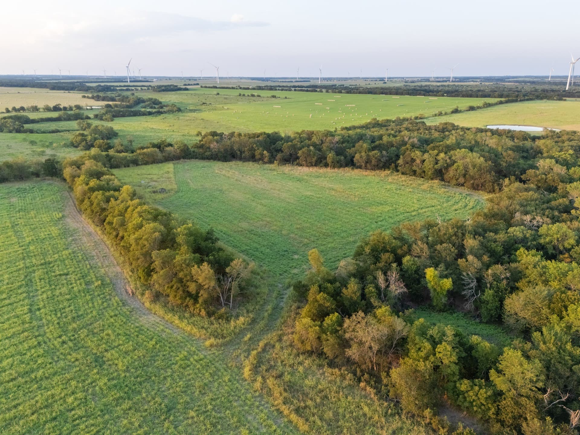 79.09 acres in Limestone County - photo 19