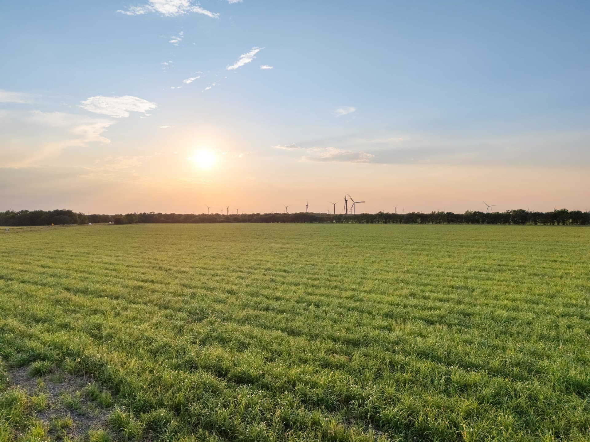 79.09 acres in Limestone County - photo 11