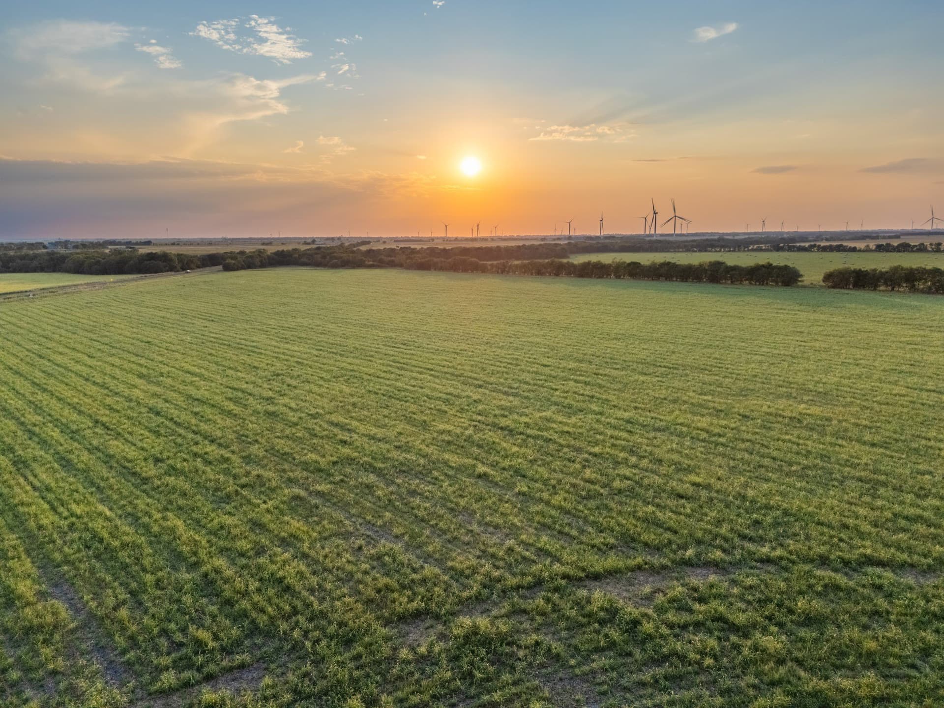 79.09 acres in Limestone County - photo 18