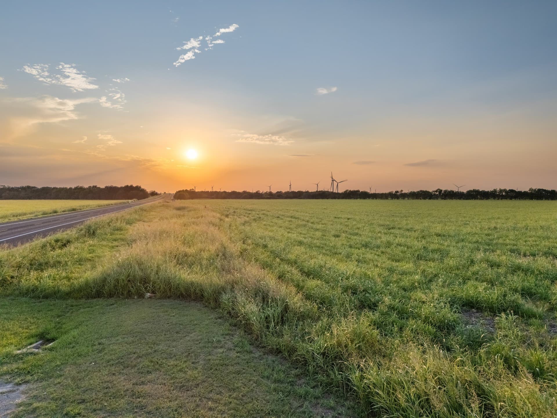 79.09 acres in Limestone County - photo 17