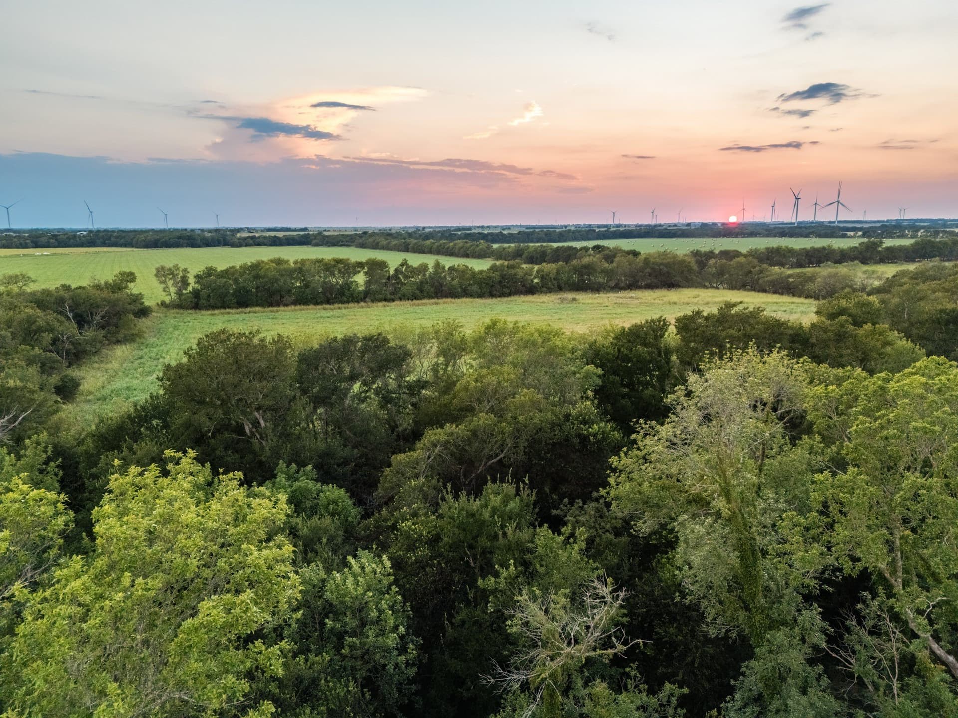 79.09 acres in Limestone County - photo 9