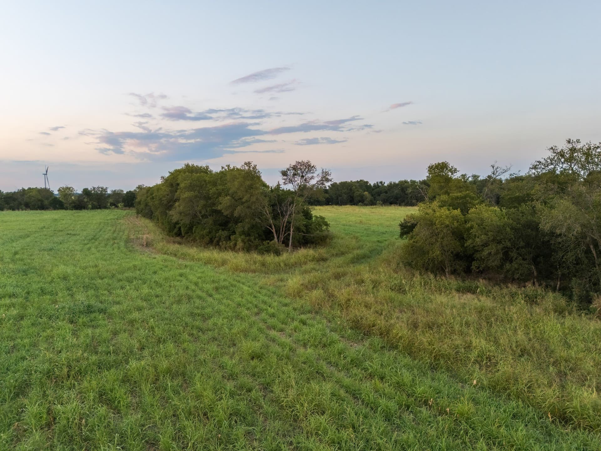 79.09 acres in Limestone County - photo 7