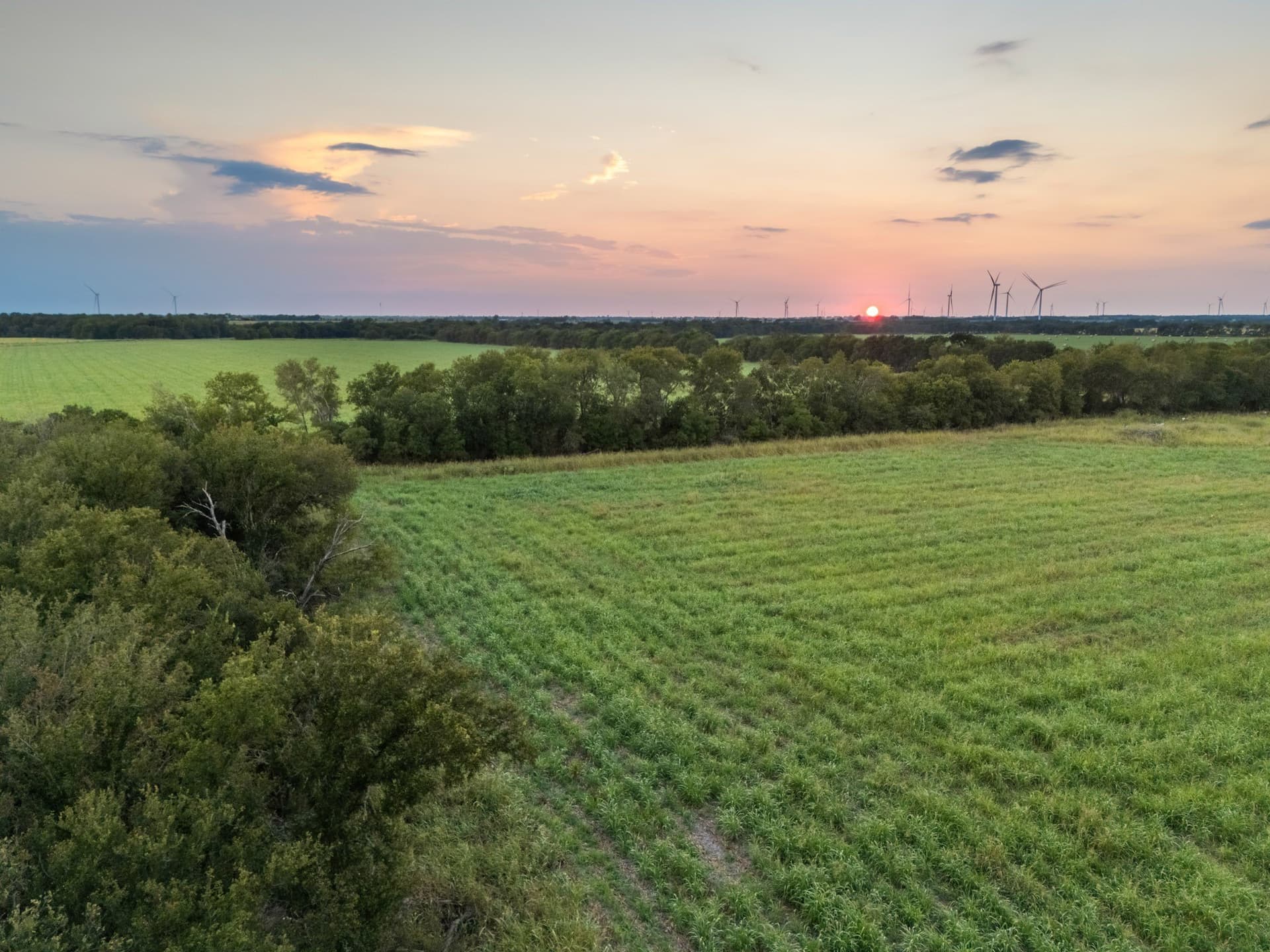 79.09 acres in Limestone County - photo 8