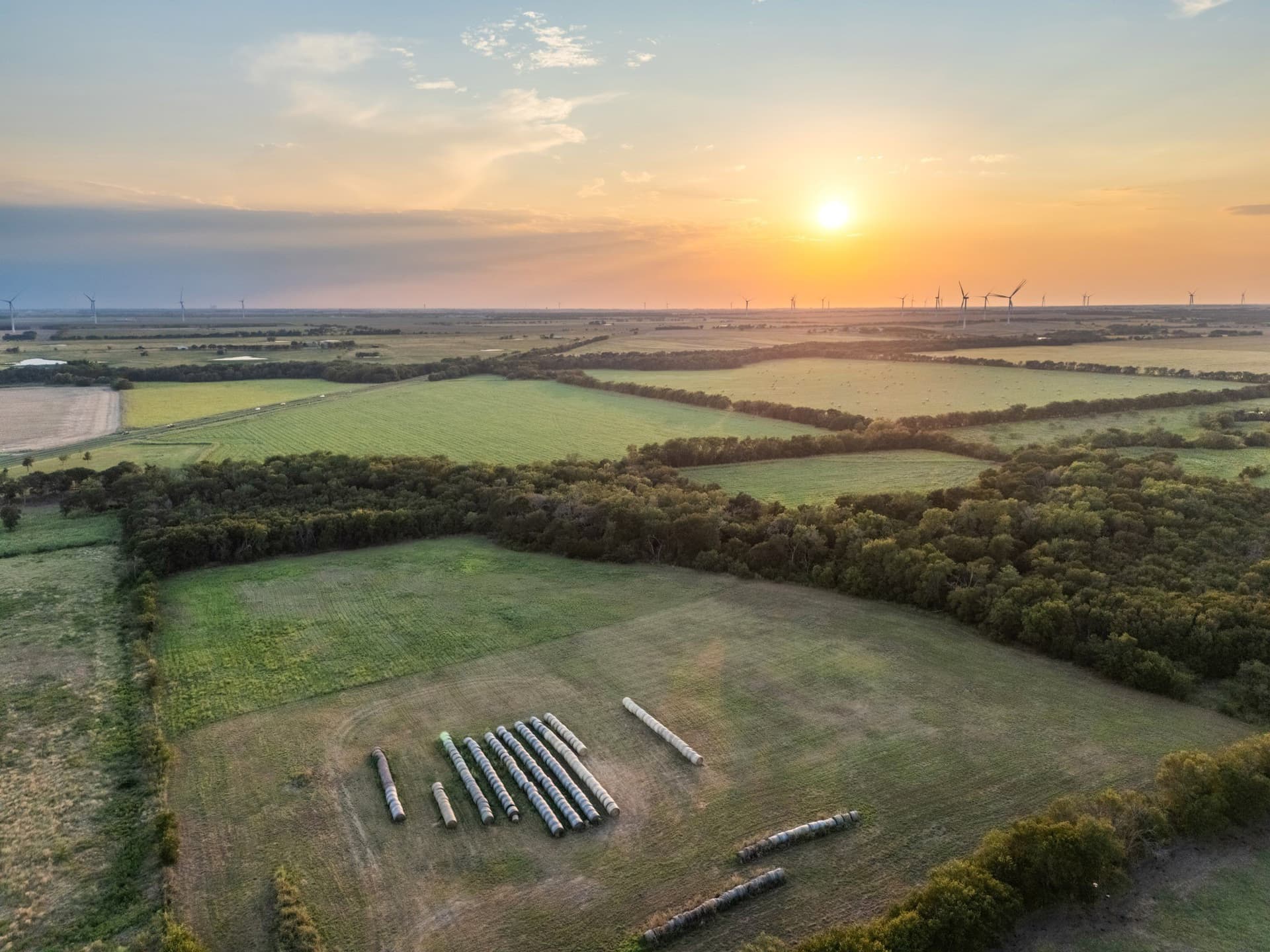 79.09 acres in Limestone County - photo 23