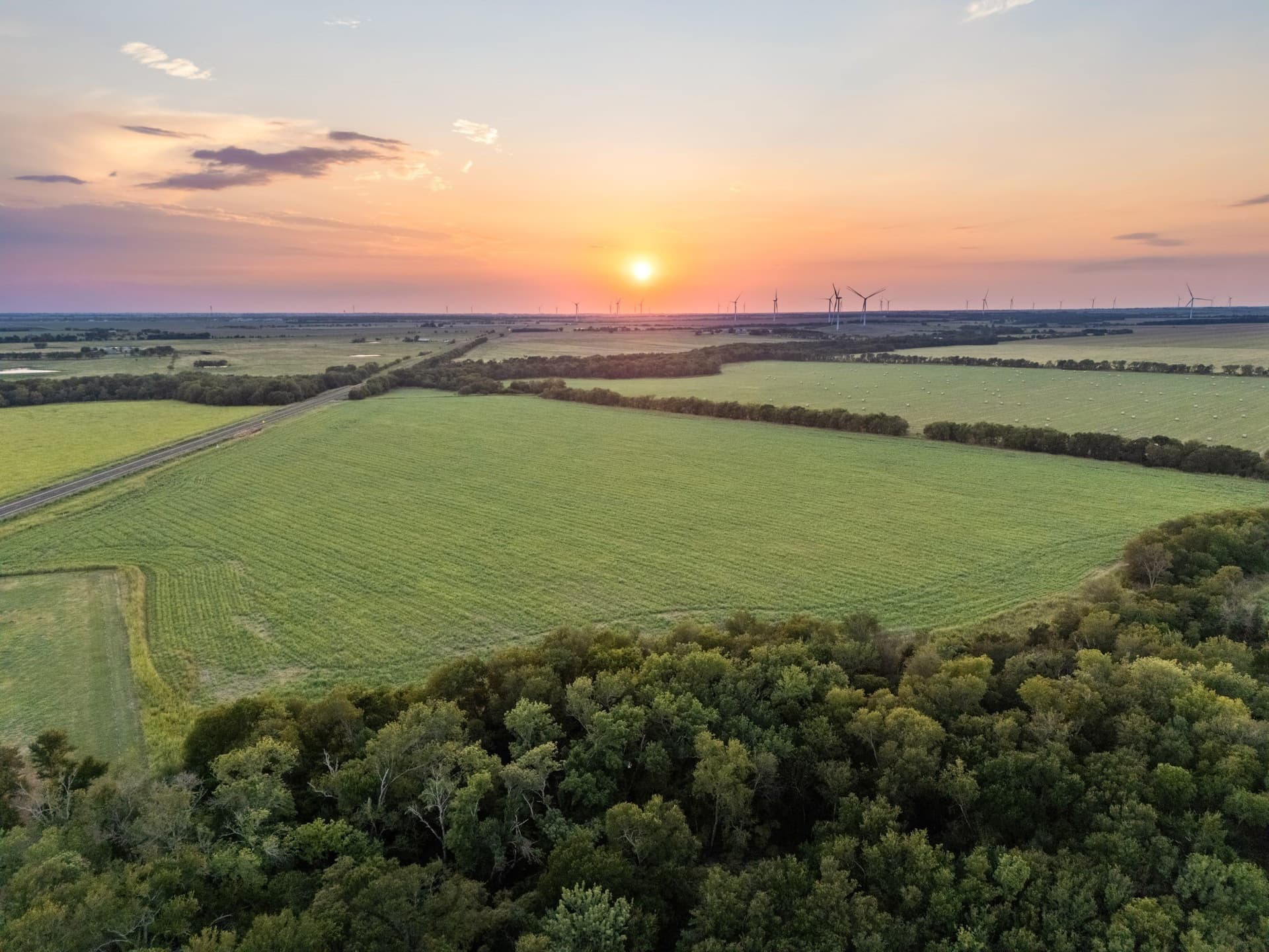 79.09 acres in Limestone County - photo 27
