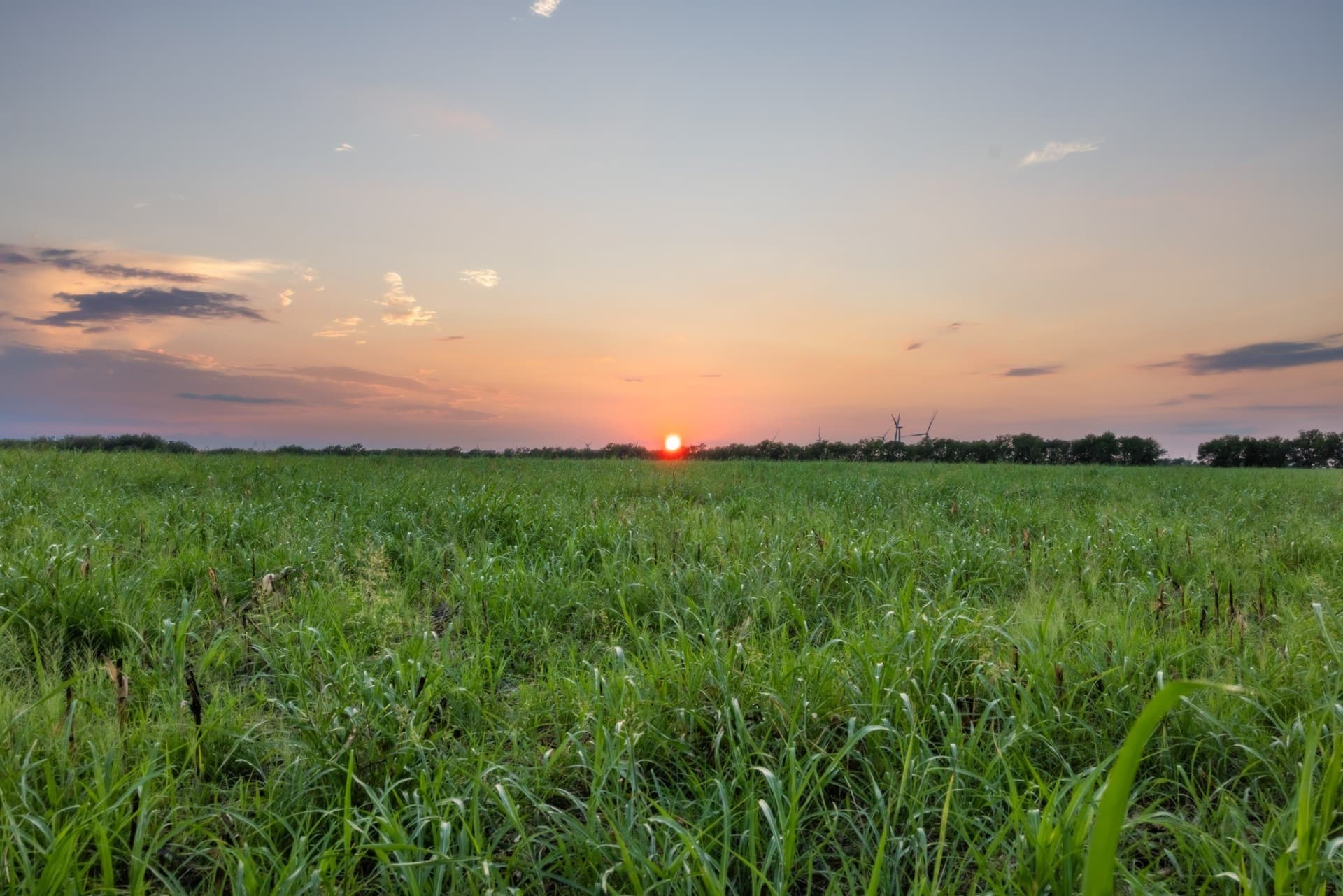 79.09 acres in Limestone County - photo 6