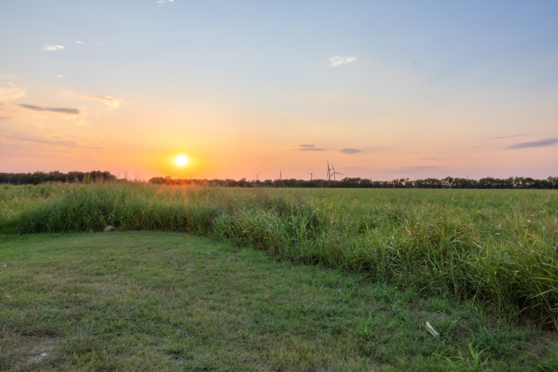 79.09 acres in Limestone County - photo 25