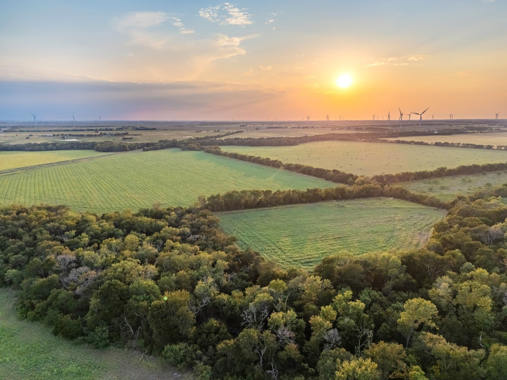 79.09 acres in Limestone County - photo 21