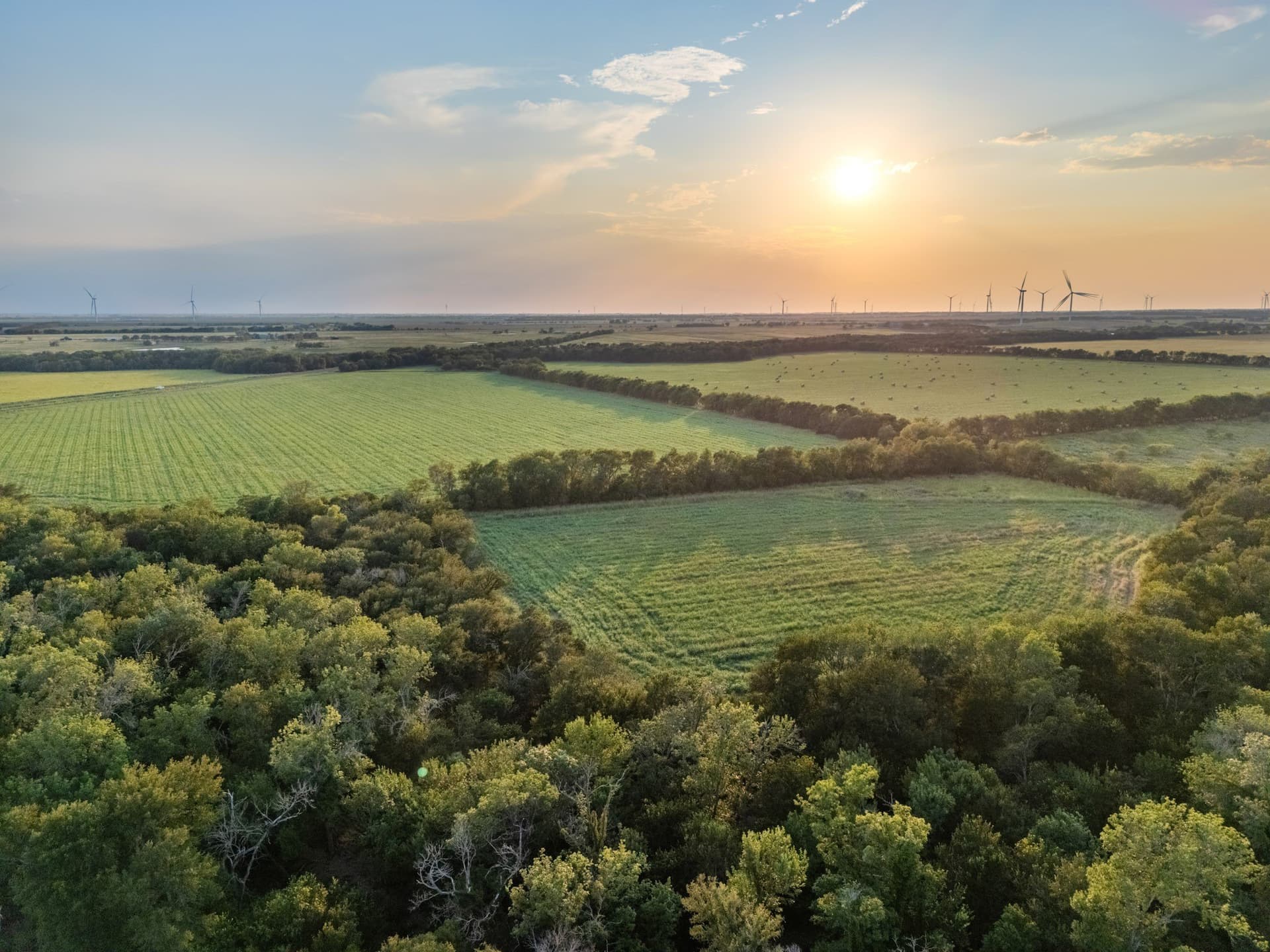 79.09 acres in Limestone County - photo 12