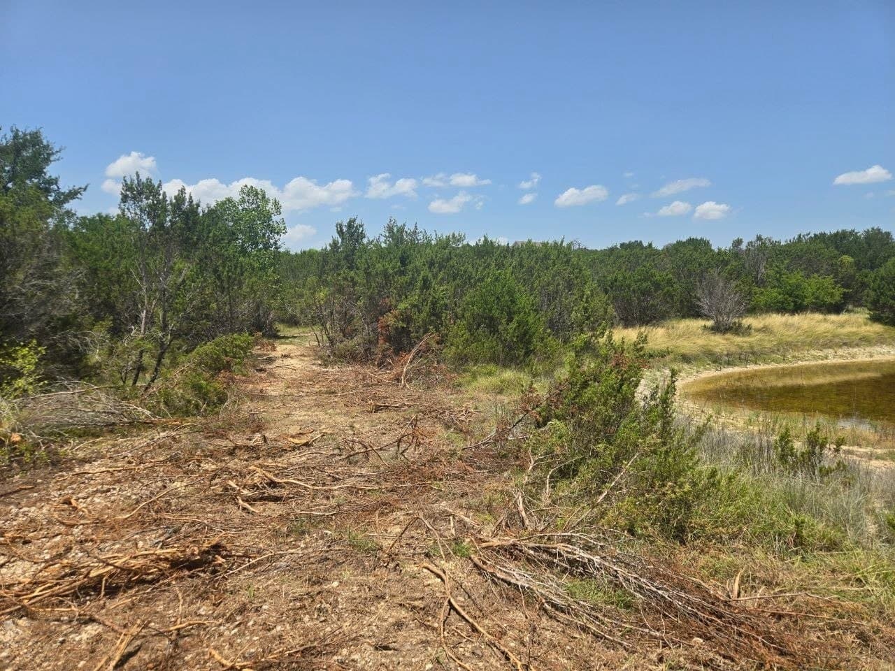 5.01 acres in Erath County - photo 9