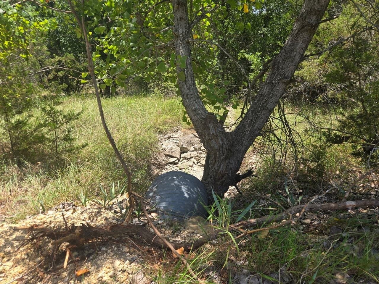 5.01 acres in Erath County - photo 7