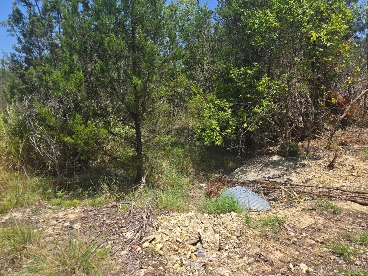 5.01 acres in Erath County gallery image 4
