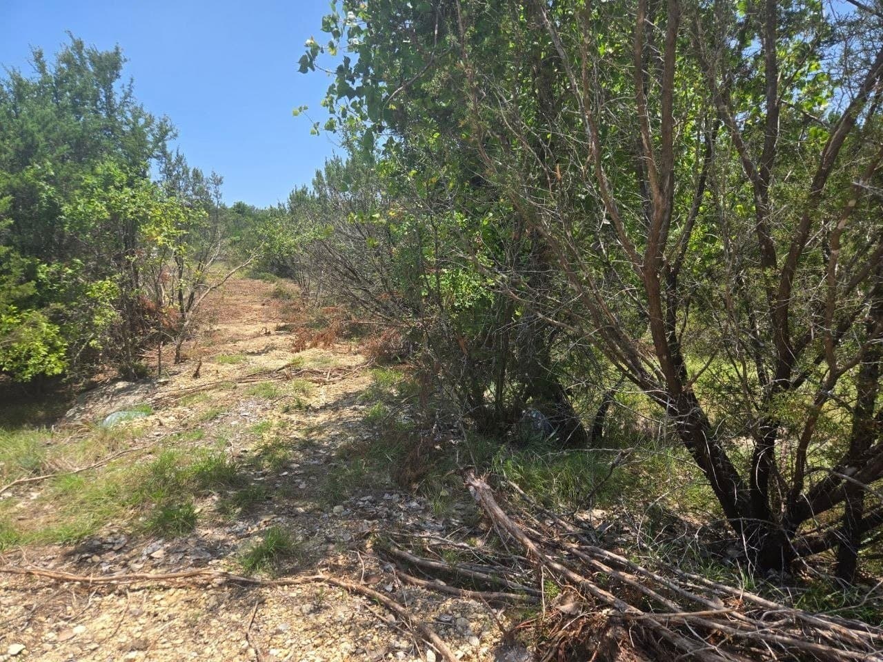 5.01 acres in Erath County gallery image 3