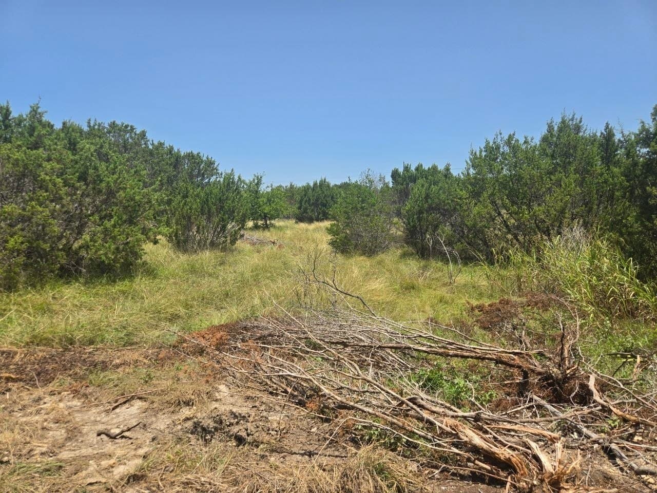 5.01 acres in Erath County featured view