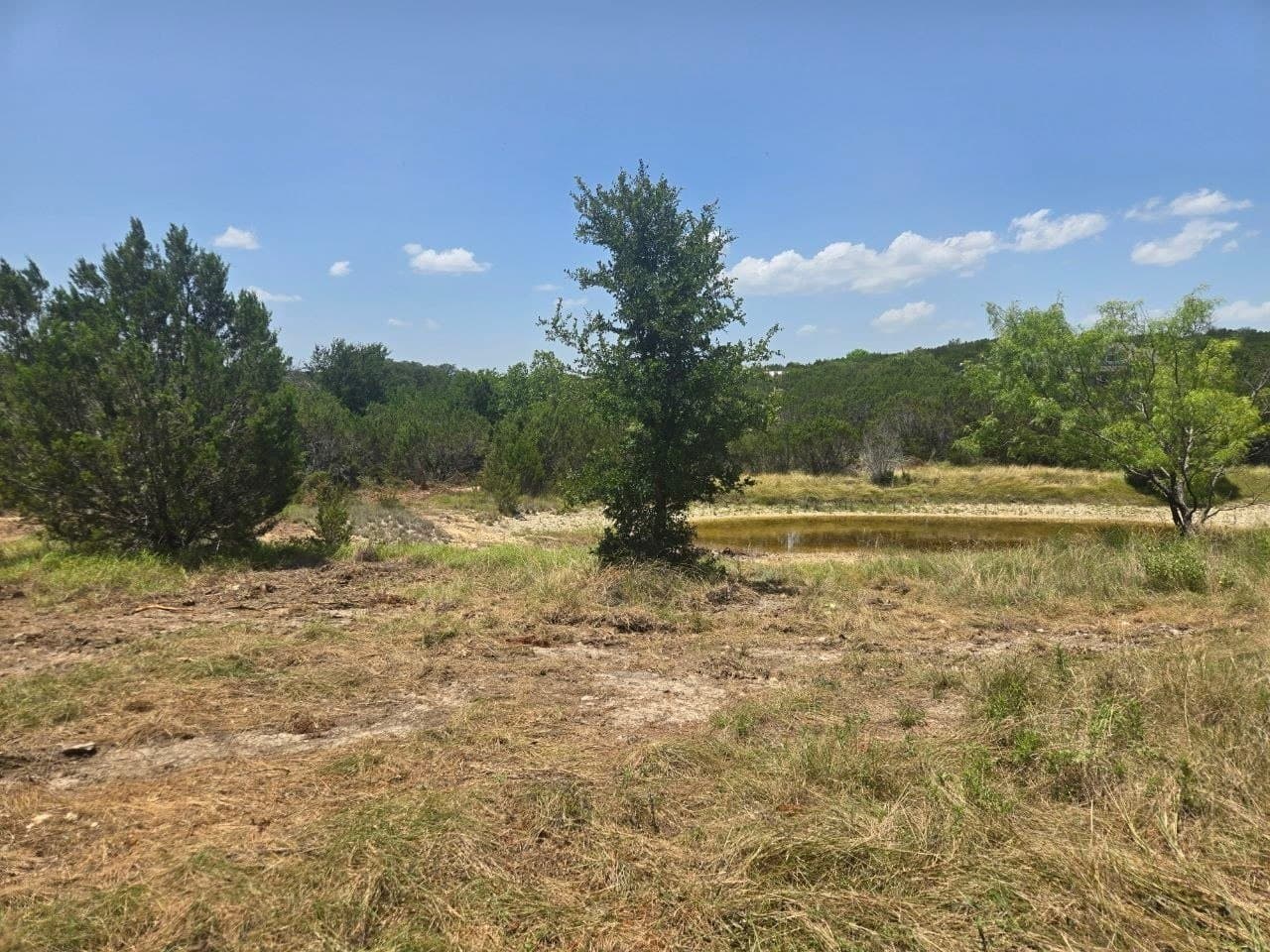 5.01 acres in Erath County gallery image 2