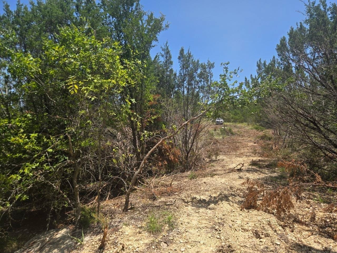 5.01 acres in Erath County - photo 8