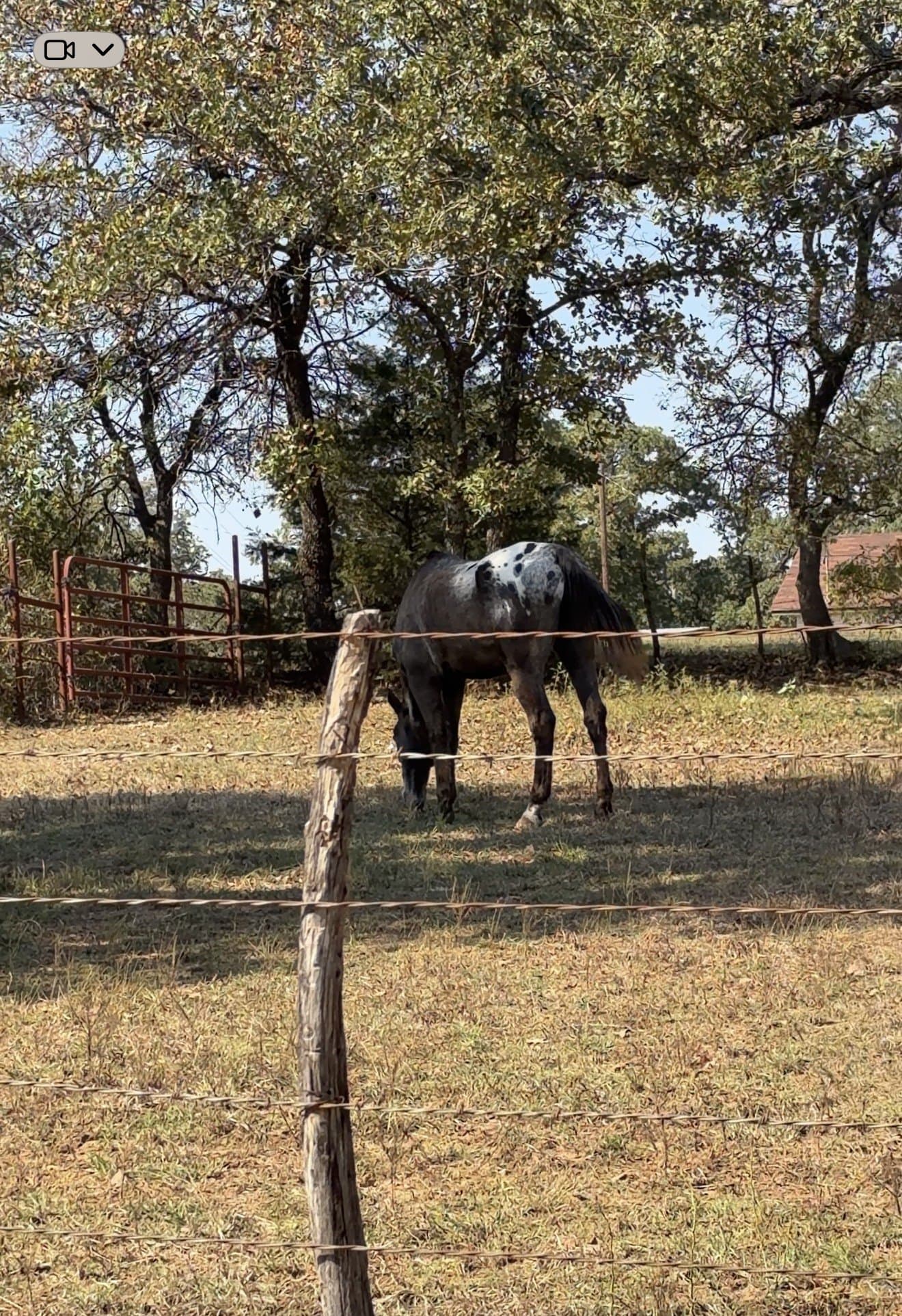 10 acres in Johnson County - photo 3