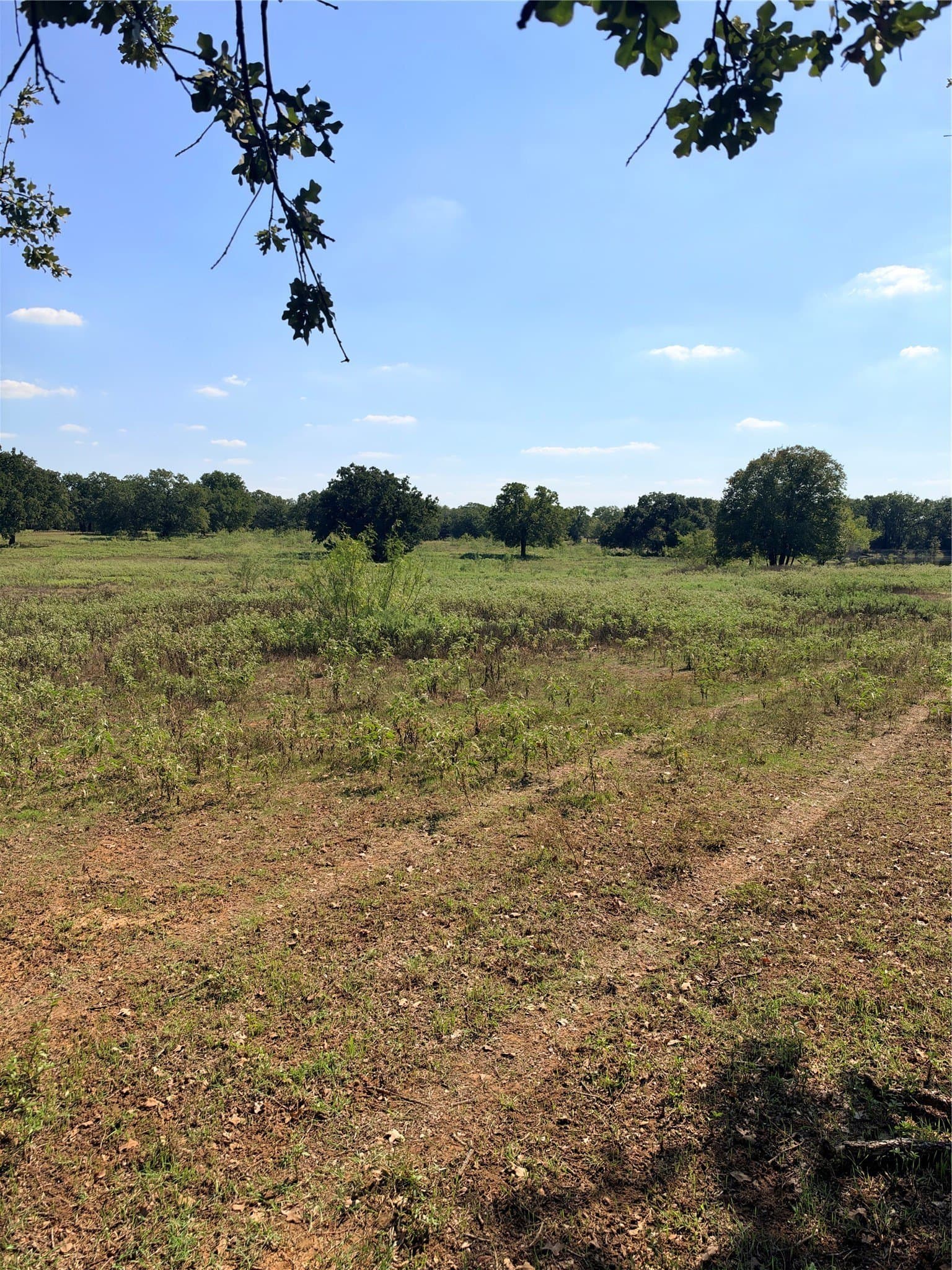 10 acres in Johnson County - photo 4
