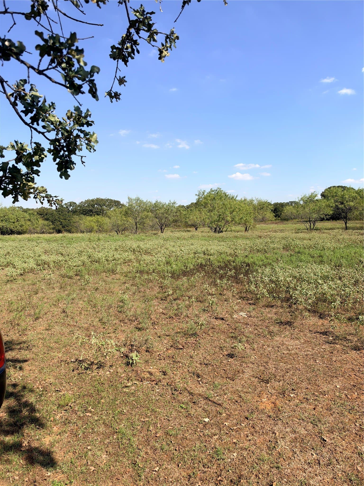 10 acres in Johnson County - photo 5