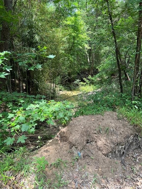 13.3 acres in Franklin (TX) County