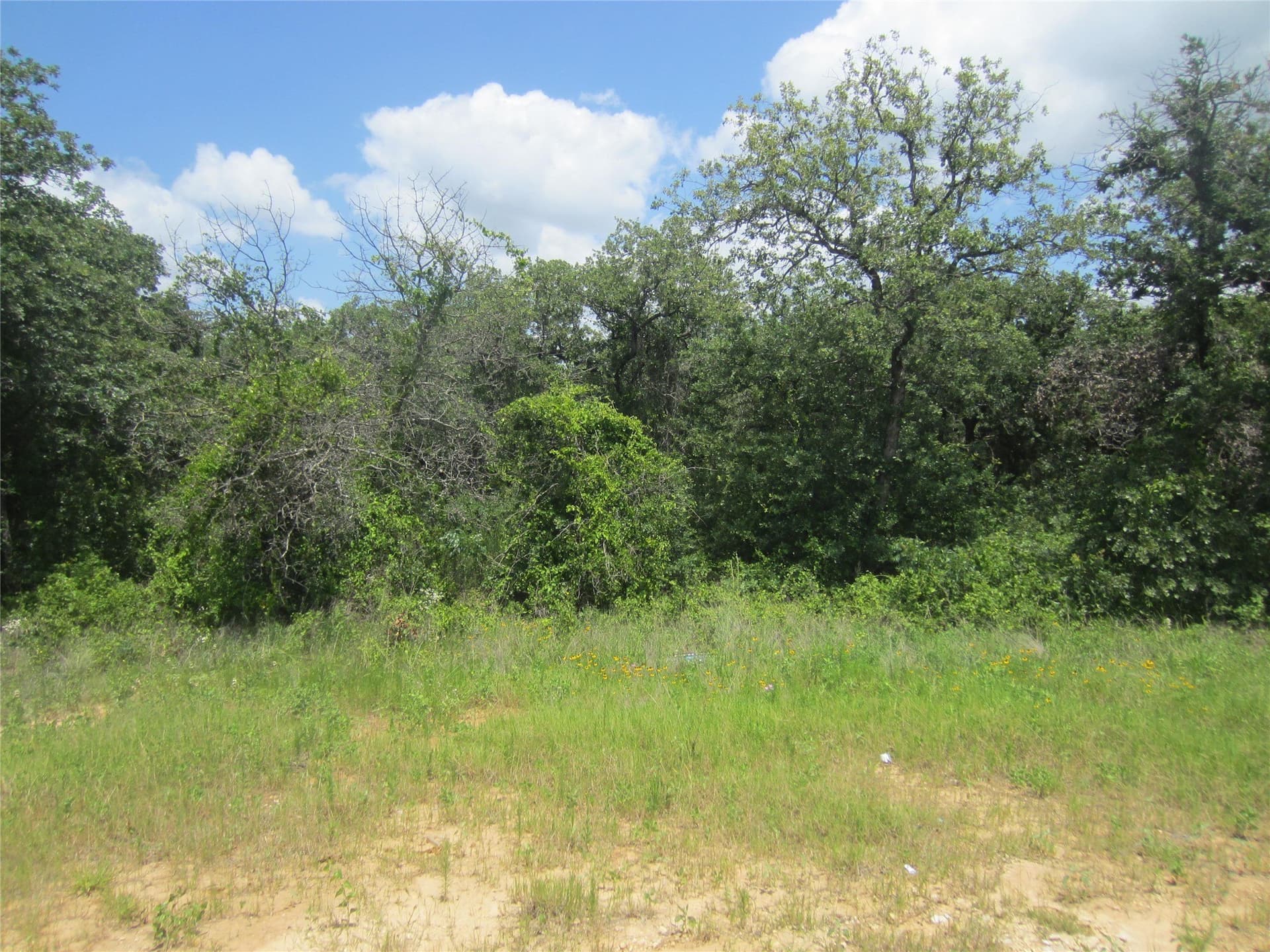2.01 acres in Hood County gallery image 4