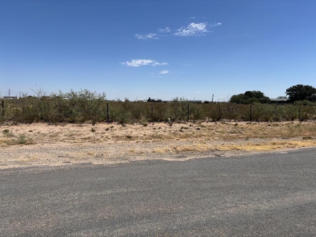 4 acres in Ector County - photo 3