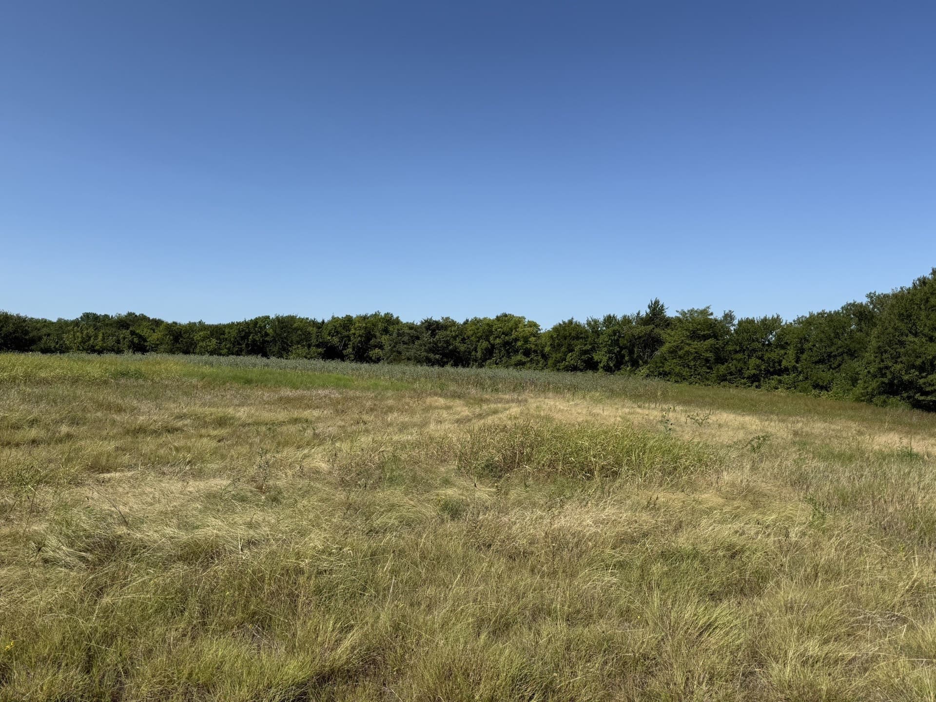 58.01 acres in Grayson County - photo 8