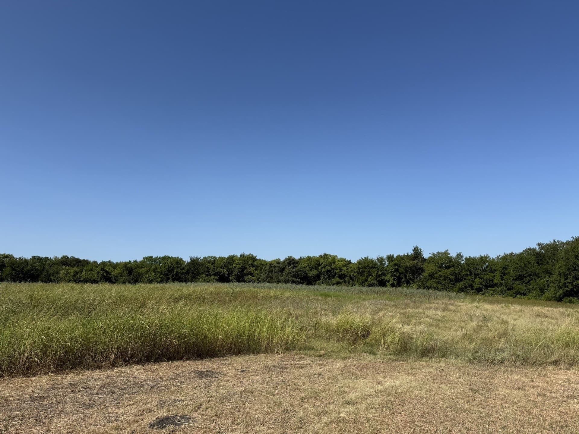 58.01 acres in Grayson County - photo 5
