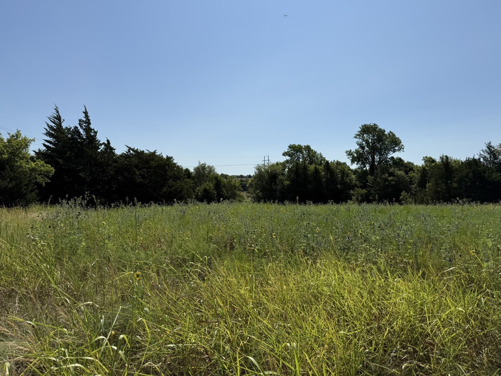 58.01 acres in Grayson County - photo 15