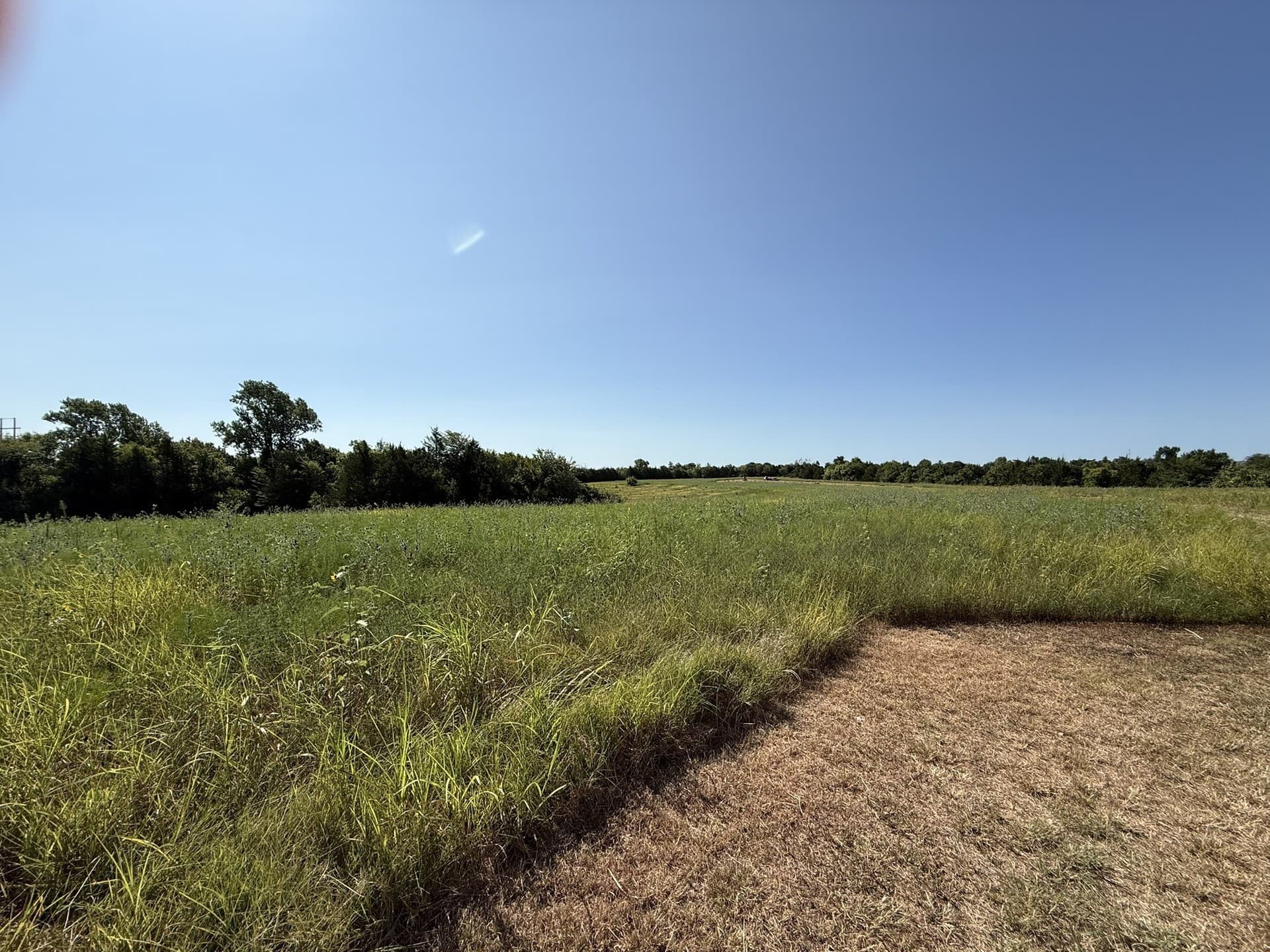 58.01 acres in Grayson County - photo 10