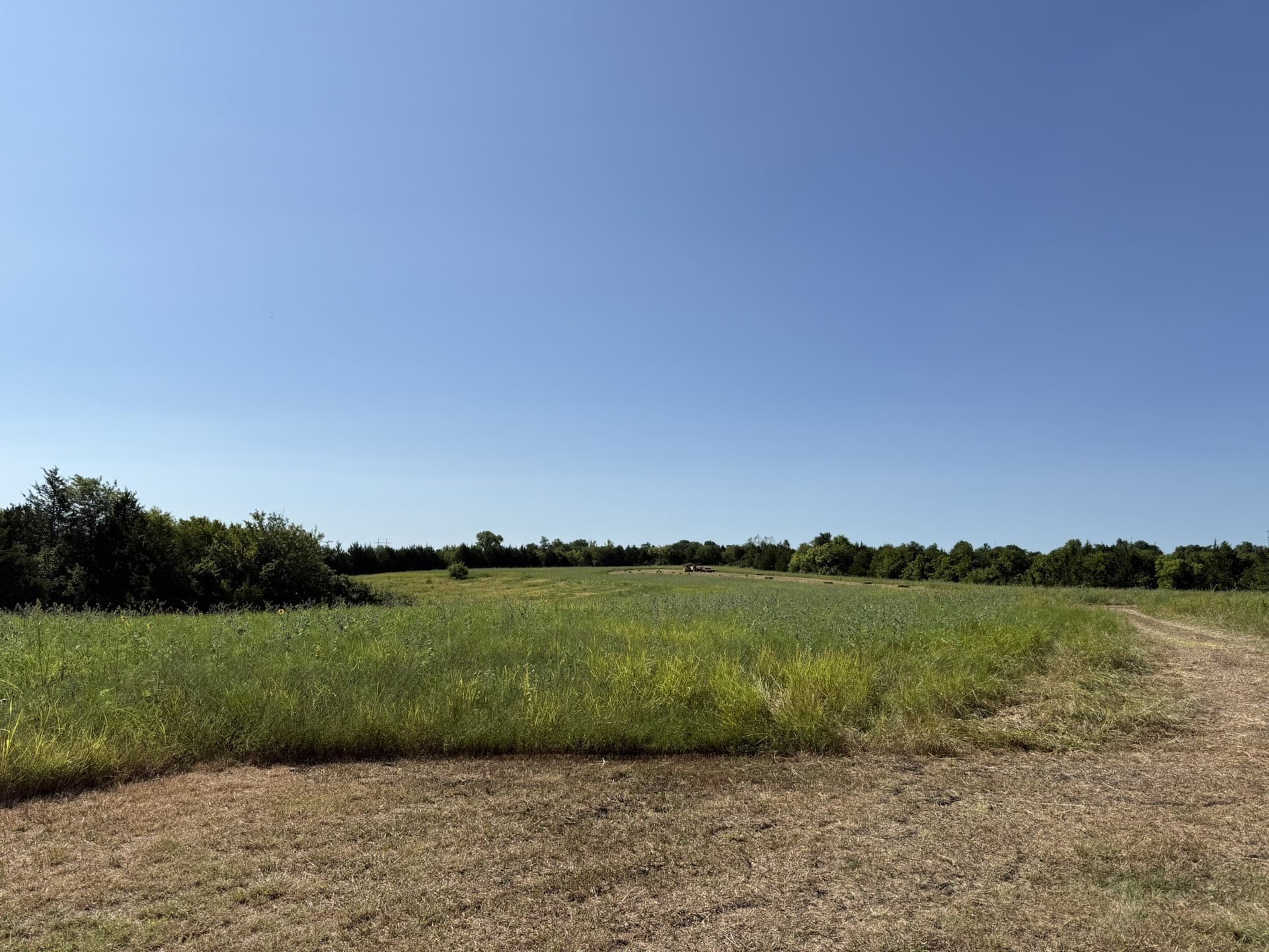 58.01 acres in Grayson County - photo 9