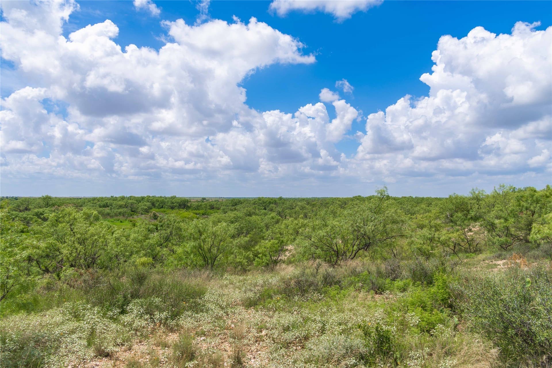 150.18 acres in Runnels County - photo 30