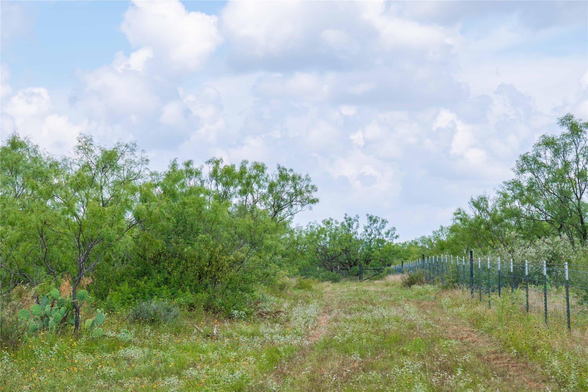 150.18 acres in Runnels County - photo 33