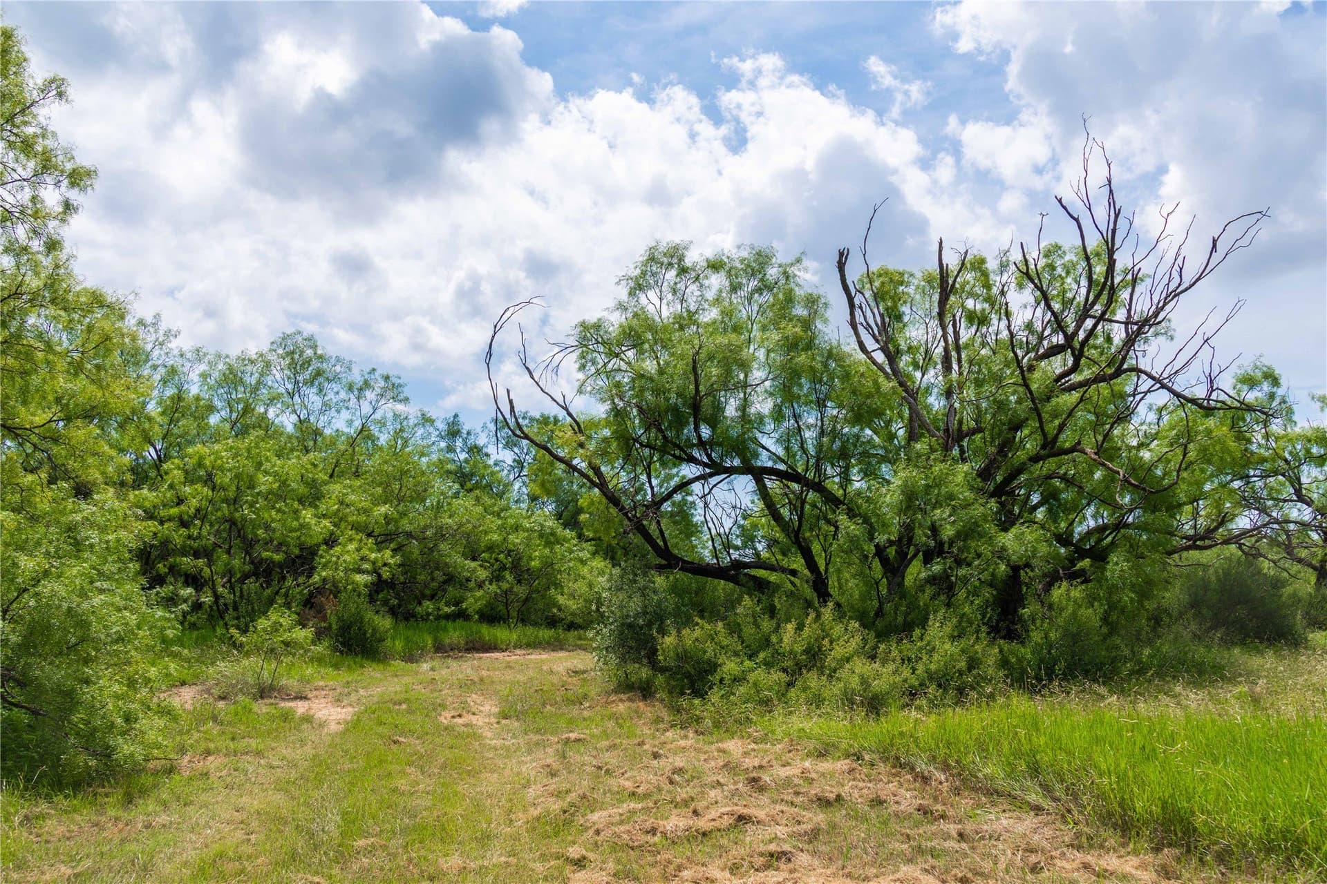 150.18 acres in Runnels County - photo 24