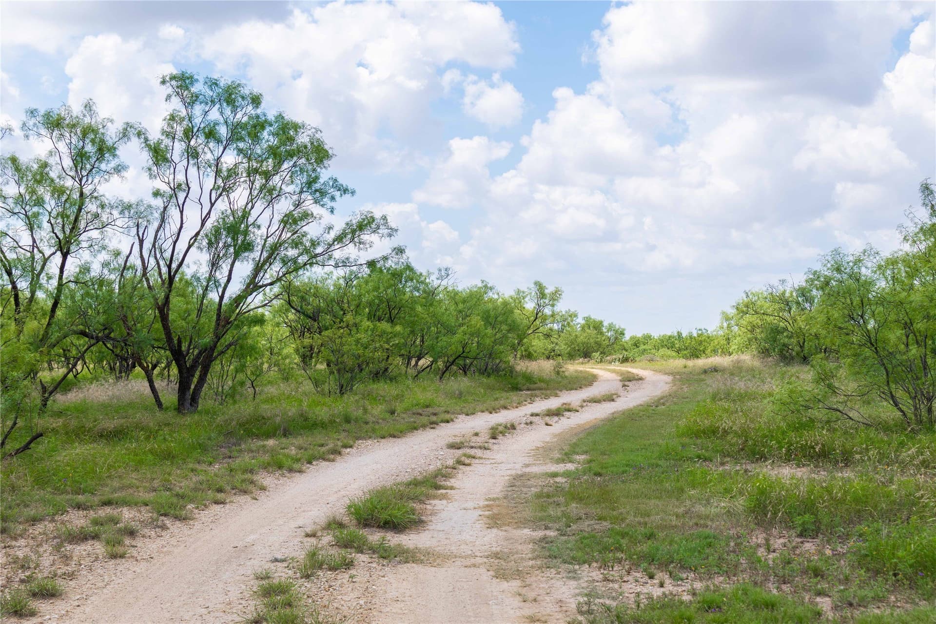150.18 acres in Runnels County - photo 35