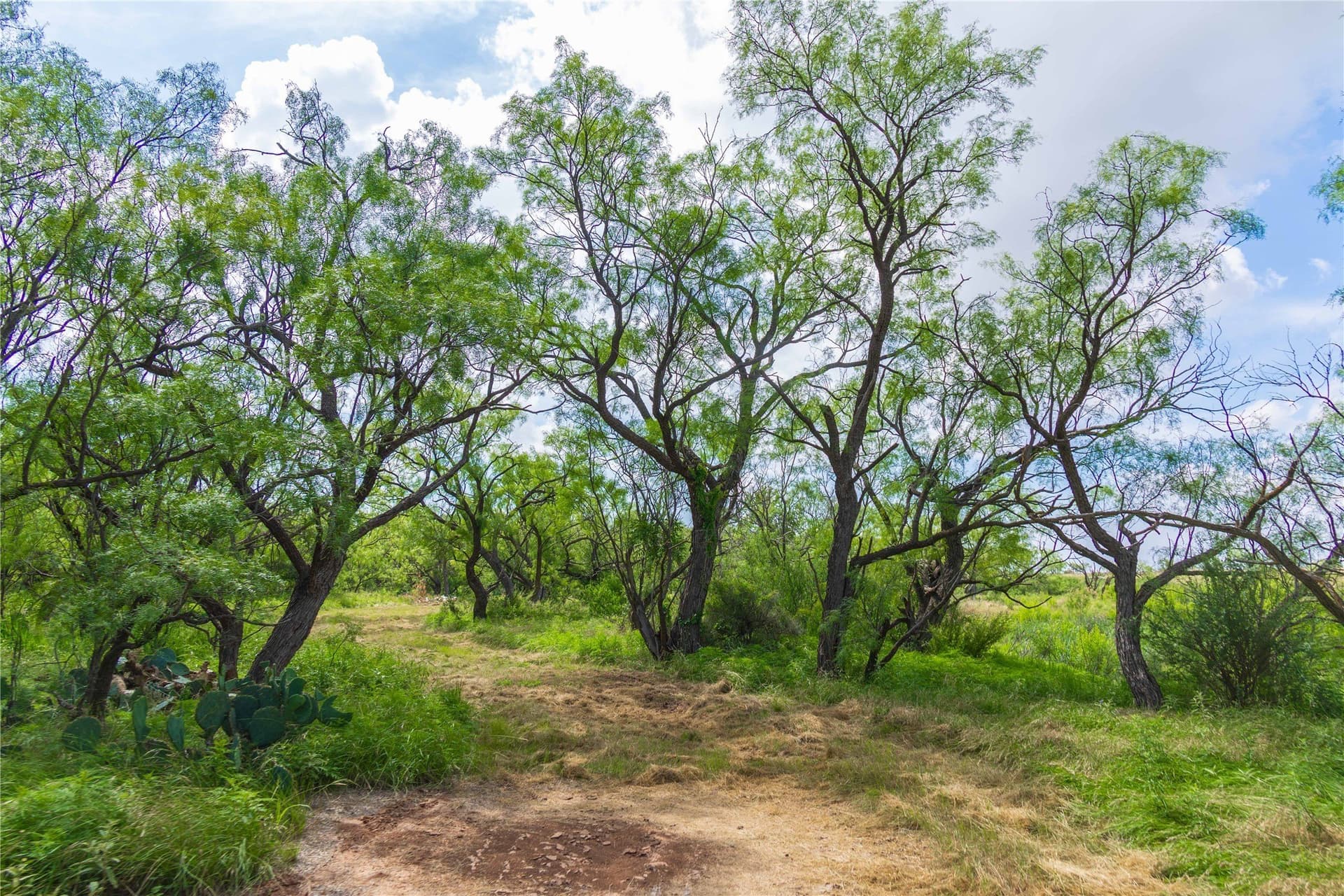 150.18 acres in Runnels County - photo 21