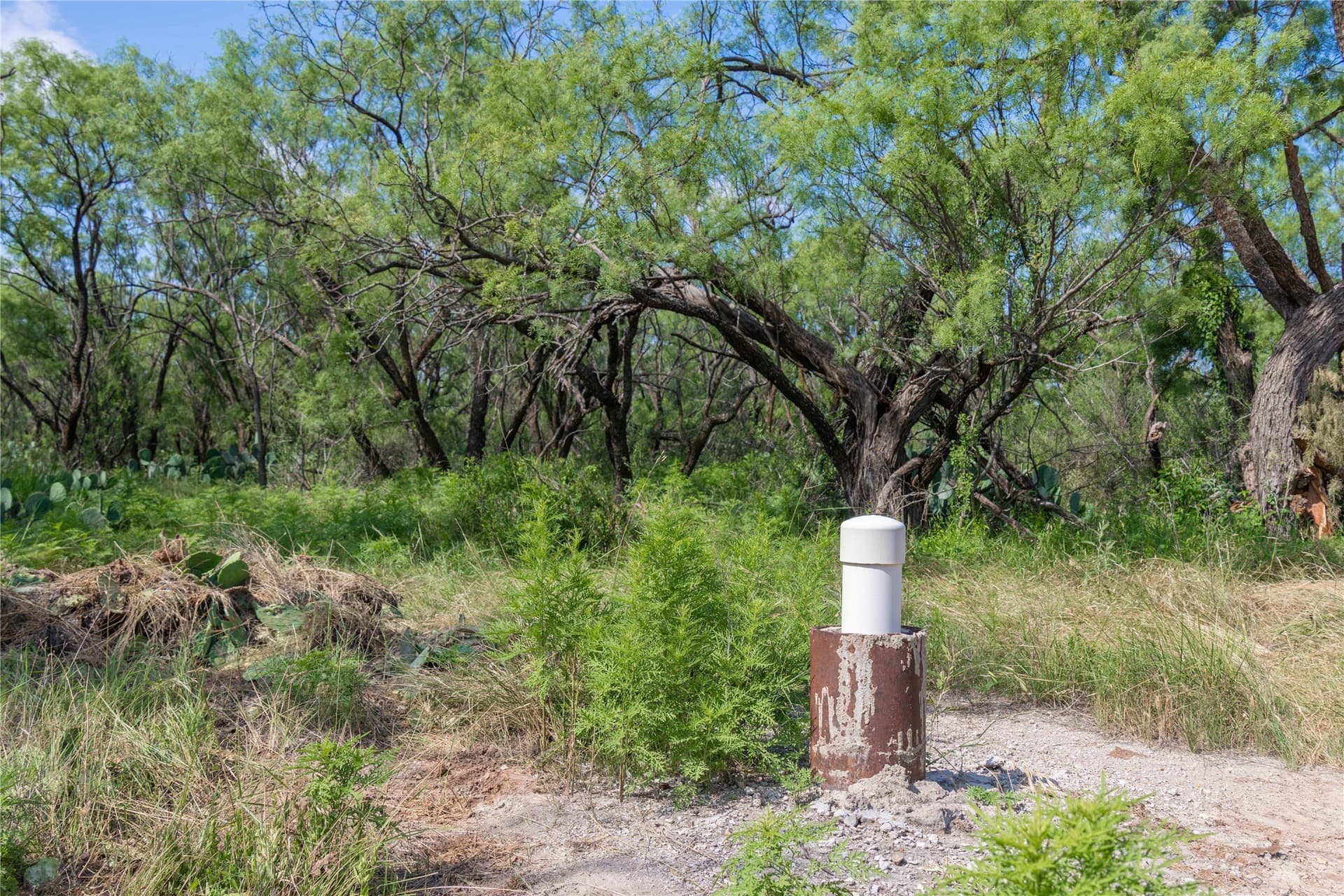 150.18 acres in Runnels County - photo 6