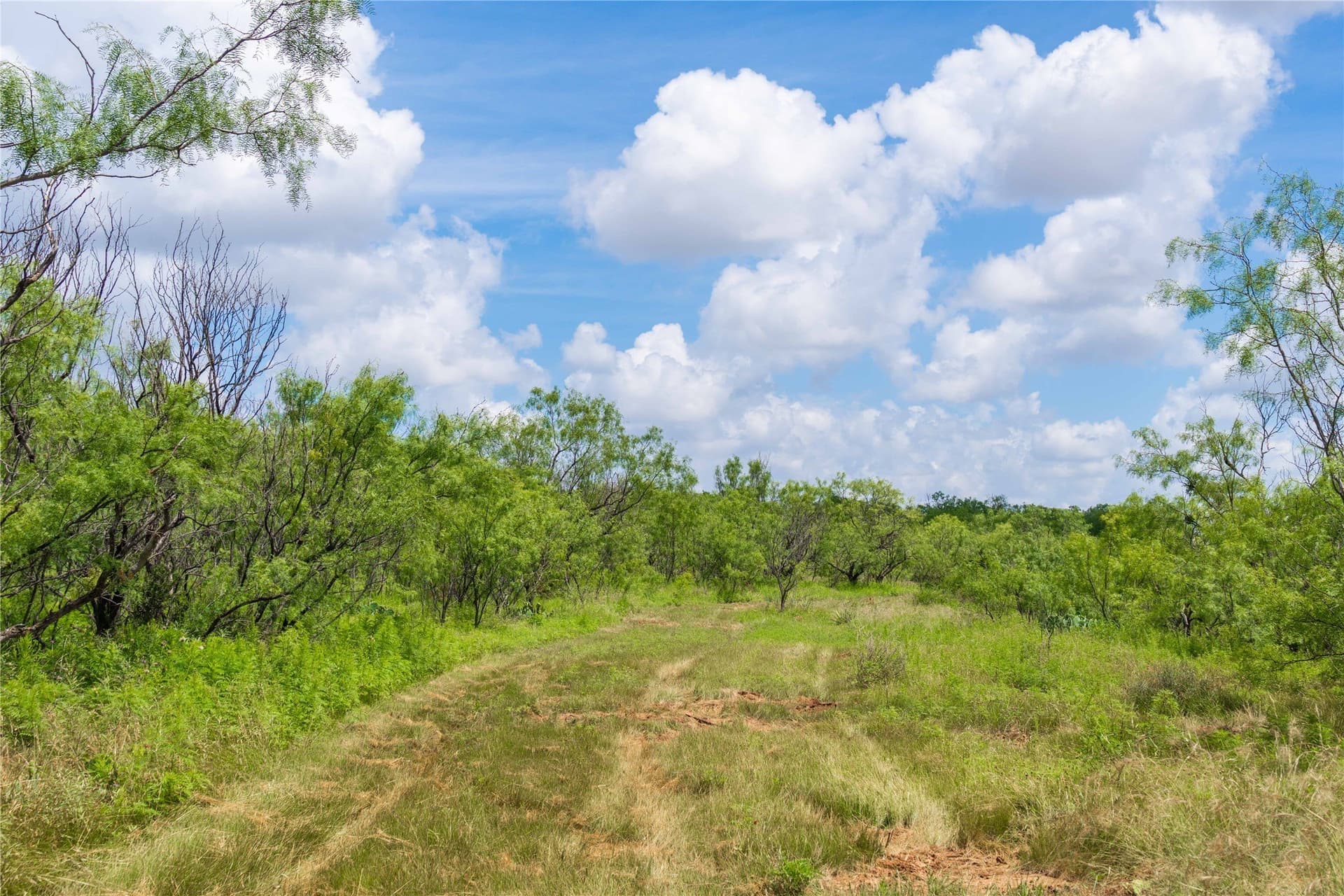 150.18 acres in Runnels County - photo 29