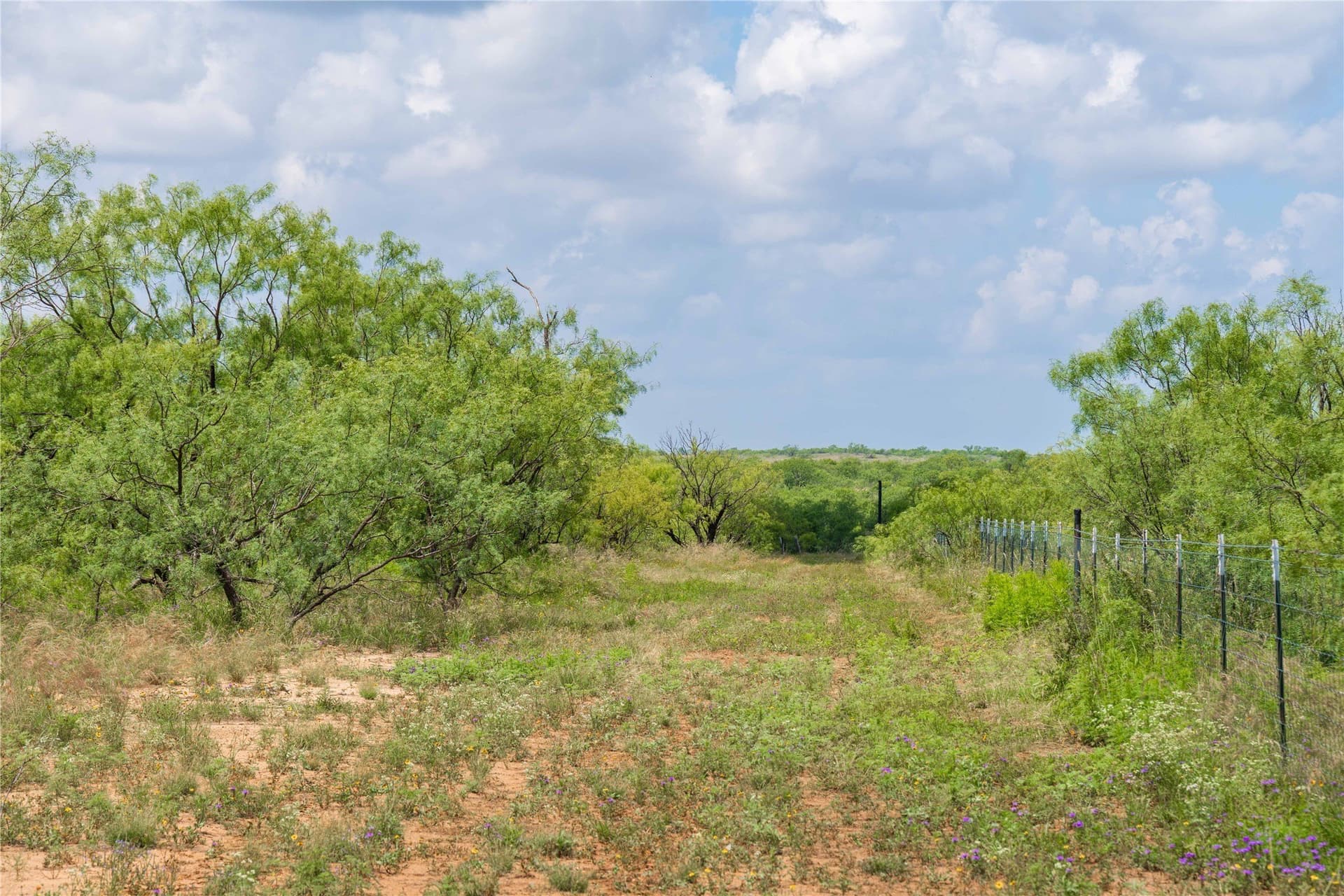 150.18 acres in Runnels County - photo 34