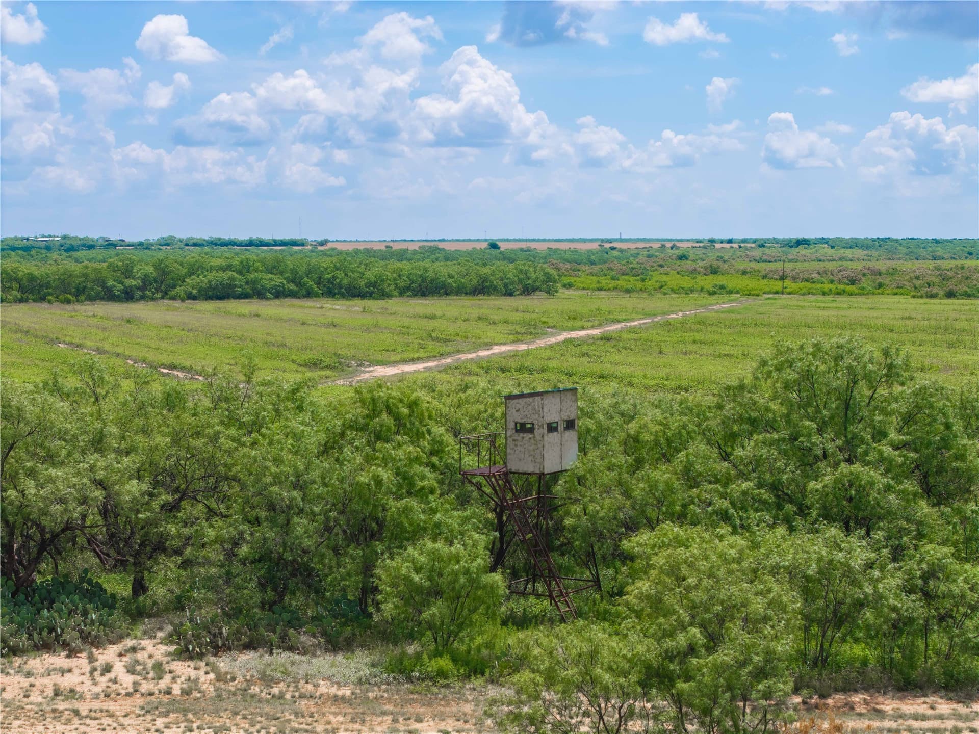 150.18 acres in Runnels County gallery image 4