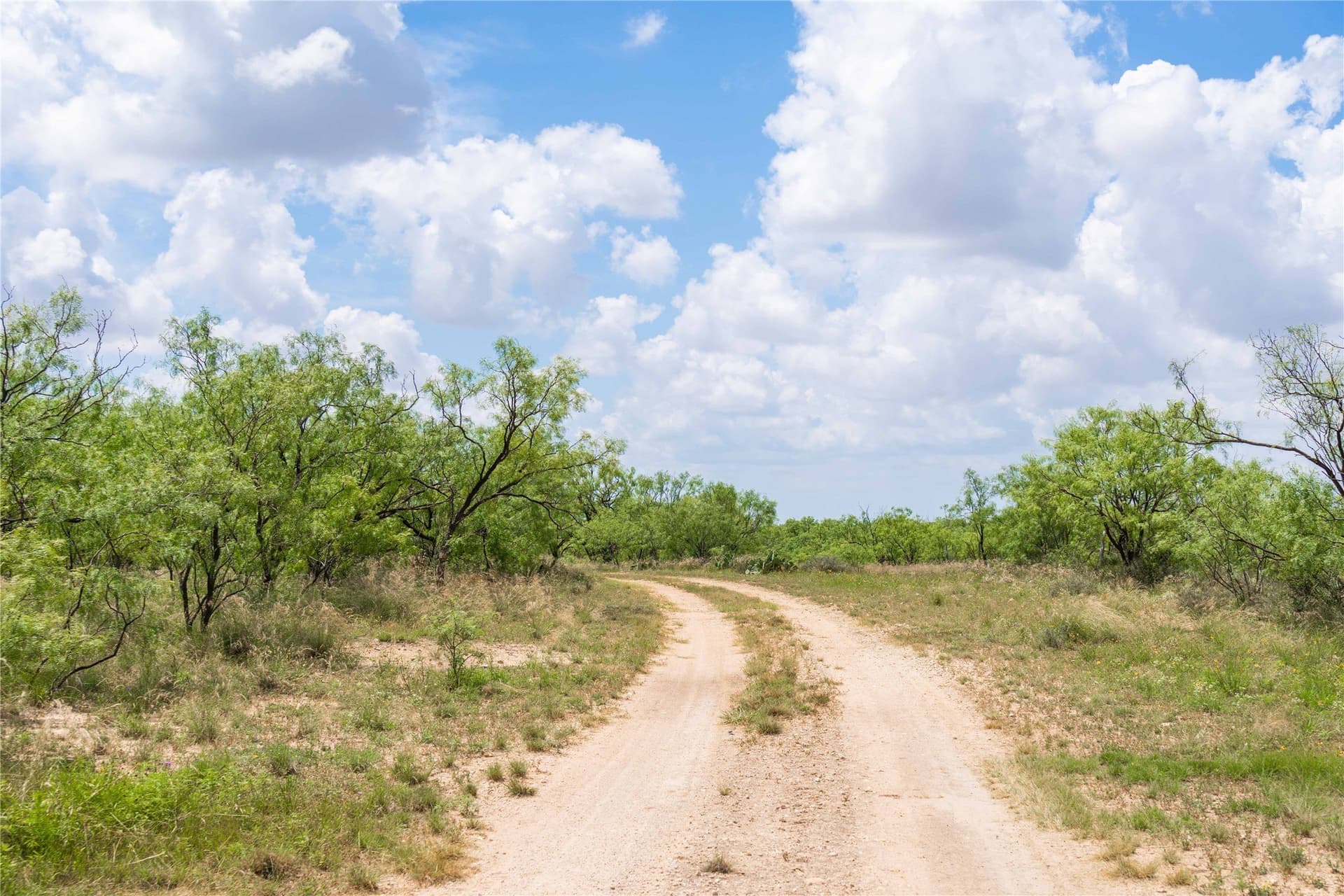 150.18 acres in Runnels County - photo 15