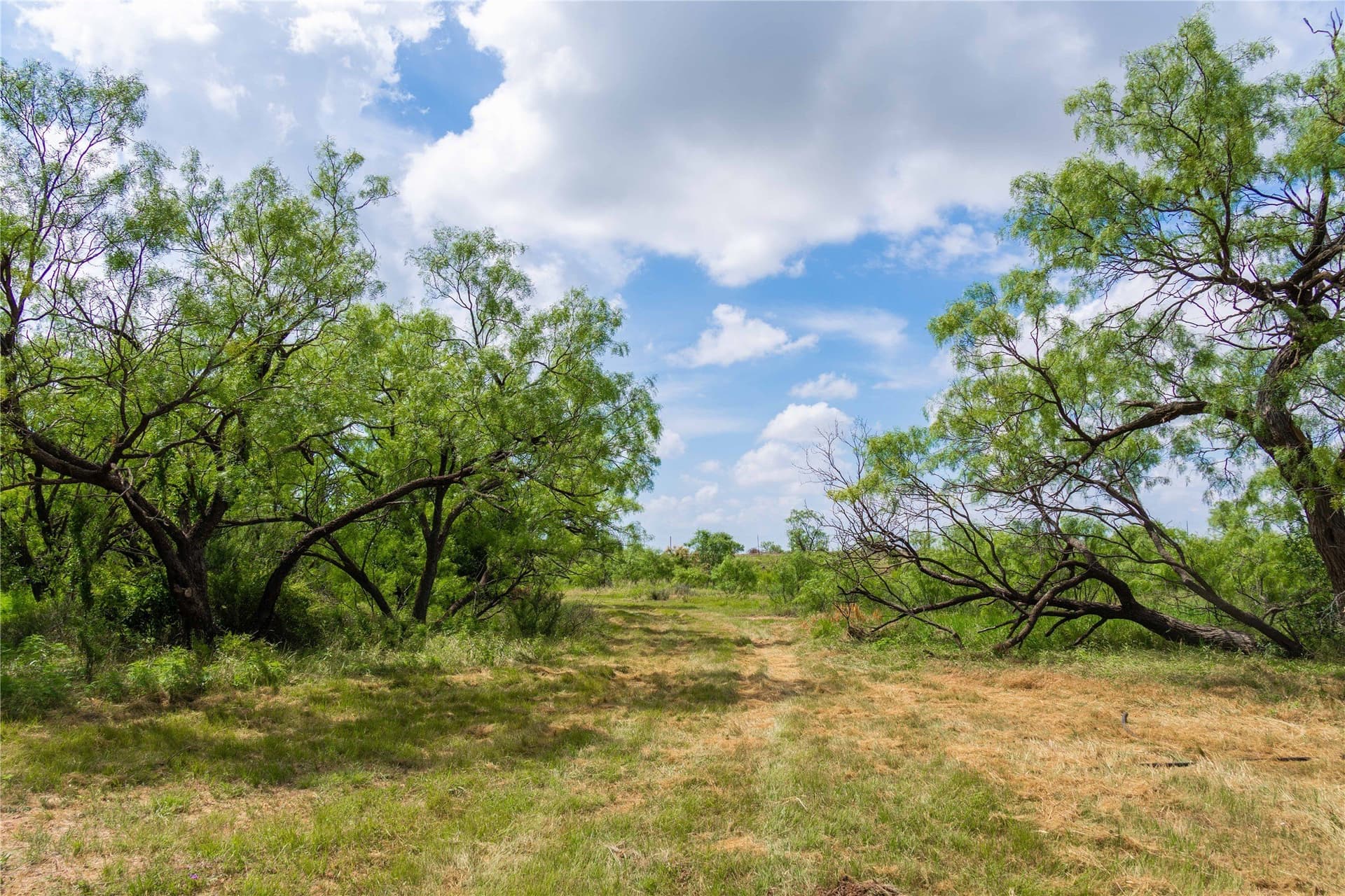150.18 acres in Runnels County - photo 23