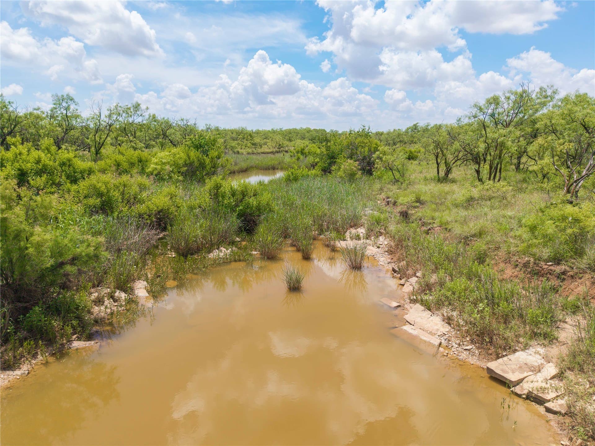 150.18 acres in Runnels County featured view